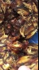 'الشنه' تصنع من جلد الماعز او الضأن ويوضع فيها التمر ويبقي محتفظاً بجودته سنين طويلة