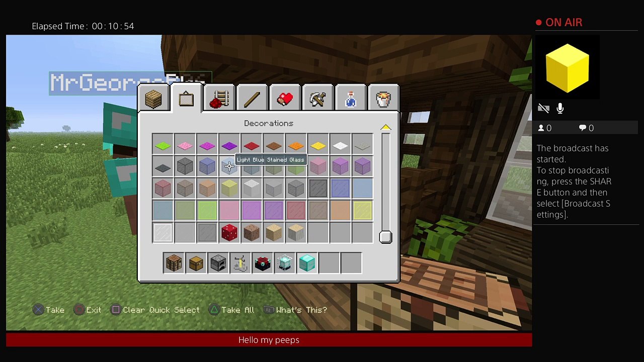 Minecraft massive House build (15)