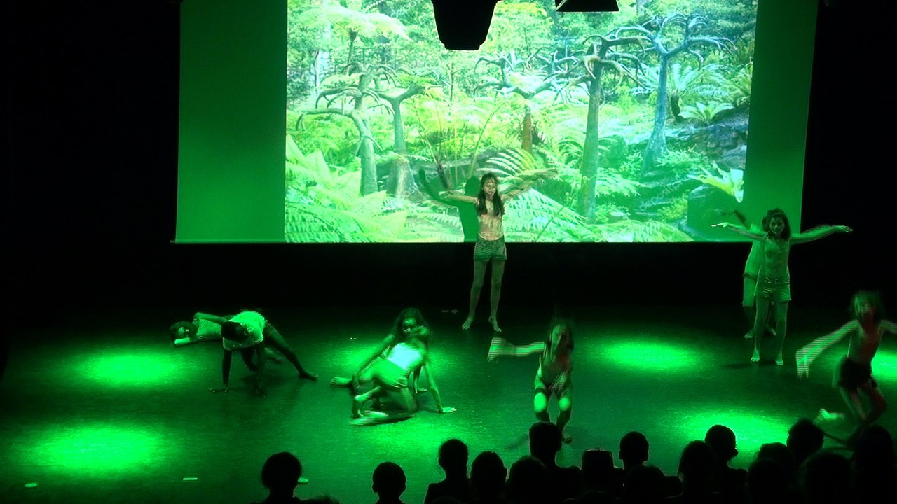 Groupe 6ème Danse : Les premiers hommes / Spectacle 2017
