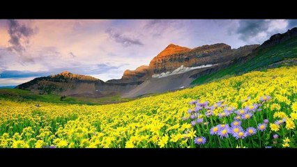 TOP 10 TOURISM PLACES IN INDIA