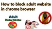 How  to block adult website in google chrome browser in hindi