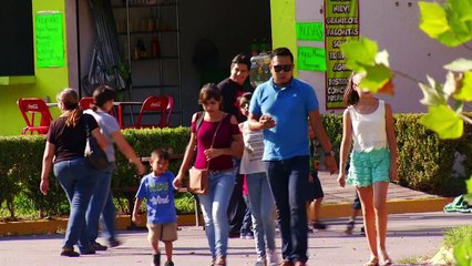 Un tigre baptisé "Gignac" en l'honneur d'un joueur français