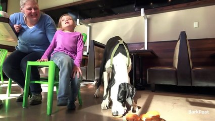 Giant Dog Approaches Little Girl In Hospital Bed, Now Keep Your Eye On His Back