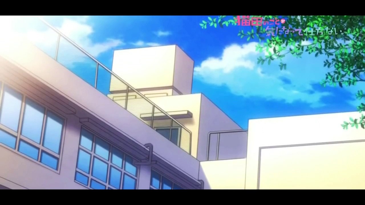 Nekota no Koto ga Ki ni Natte Shikatanai Sekai wa Koi ni Ochiteiru Ao Haru Ride op lyrics