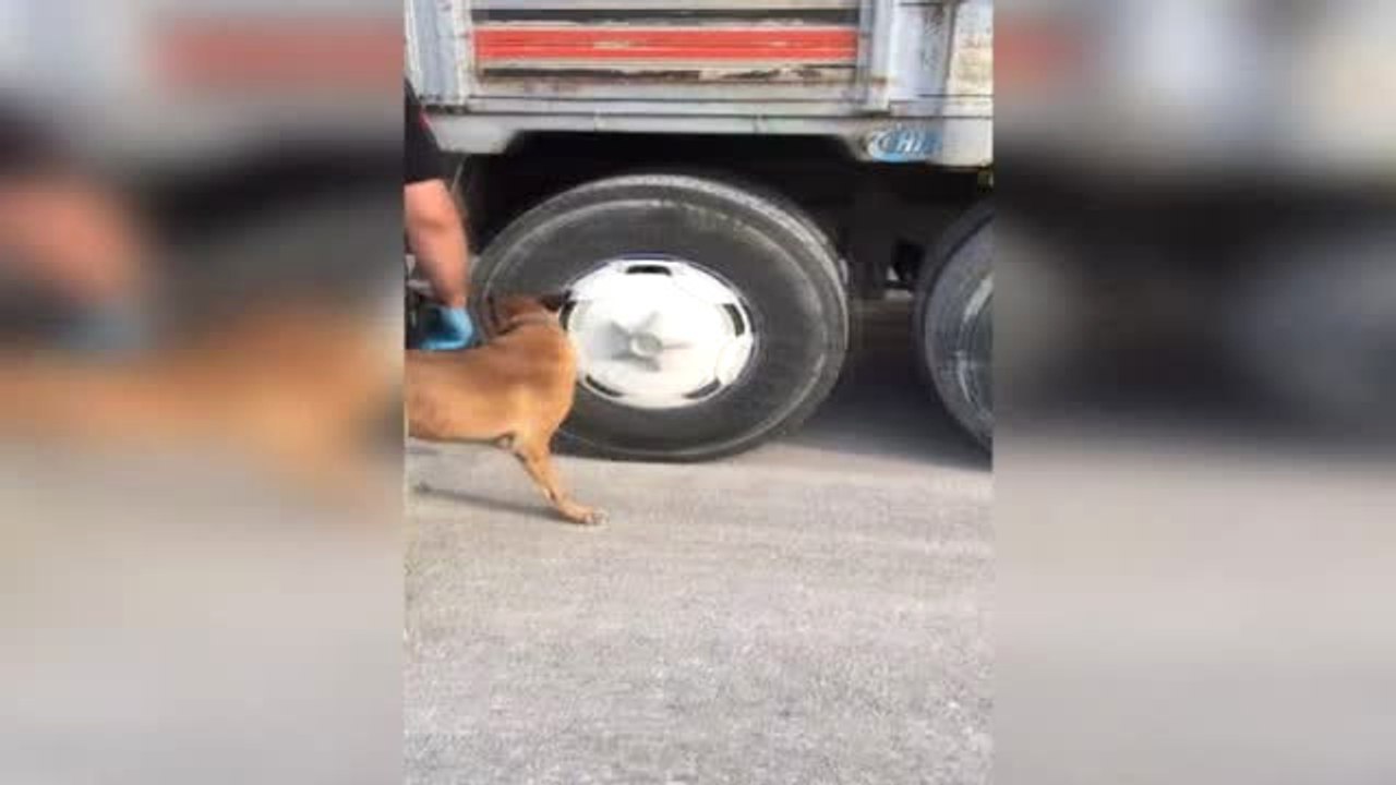 Kayseri'de Kepek Torbalarının Altına Gizlenmiş 272 Kilo Esrar Yakalandı