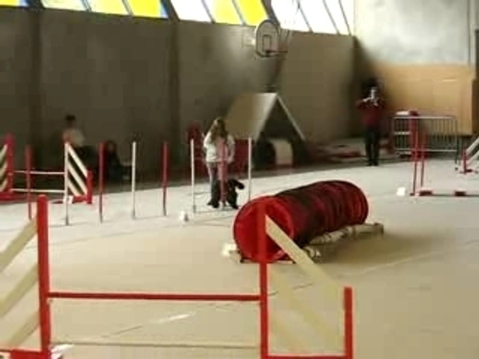 Agathetoufous jumping 271007