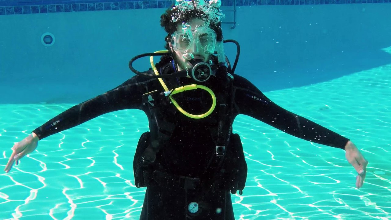 Scuba Diving Hand Signals for Identifying Marine Life