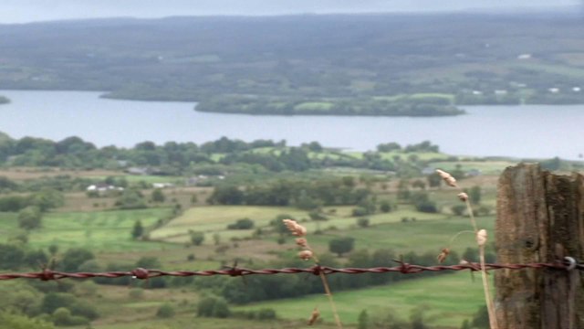 ‘No immigration checks’ between Ireland and Northern Ireland after Brexit