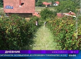 Dnevnik, 16. avgust 2017 (RTV Bor)