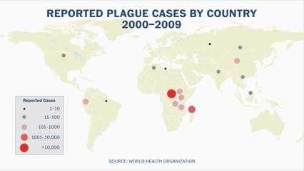 What you need to know about the plague