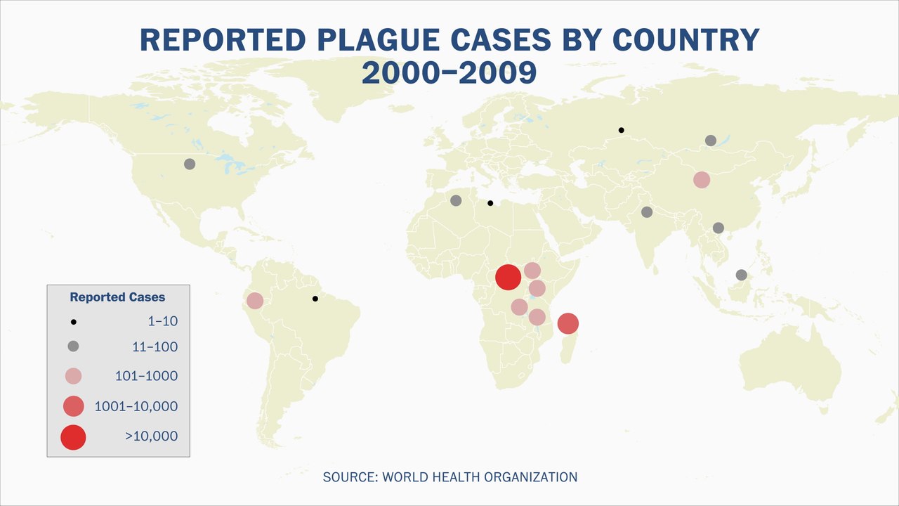 What you need to know about the plague