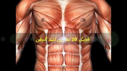 افضل 10 تمارين لشد البطن- التمرين6