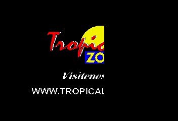 Paulina Rubio - Dame Otro Tequila (Karaoke)