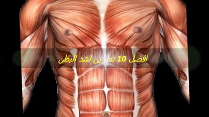 افضل 10 تمارين لشد البطن- التمرين 10