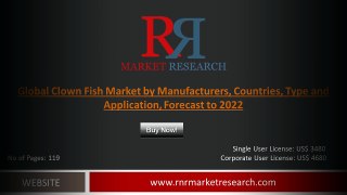 Forecast to 2022 On Global Clown Fish Market: Demand, Overview, Growth, Scope