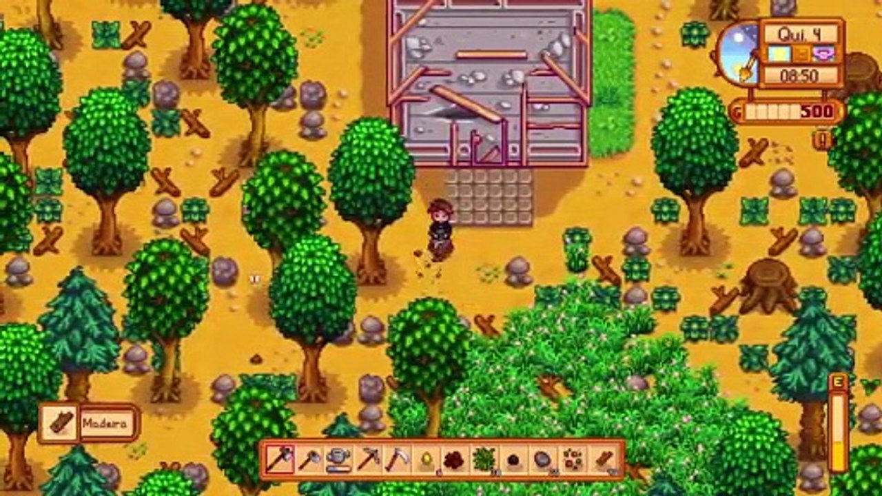 Stardew valley (11)