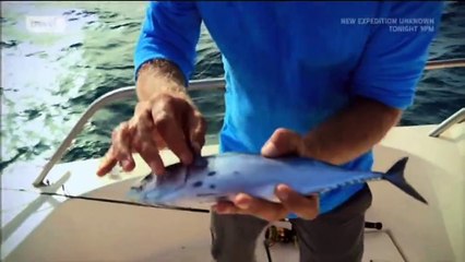 Robson Green Grand Slam Fishing: Senegal