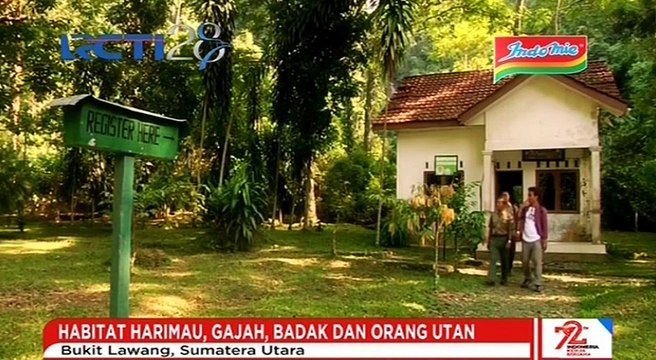 Melihat Pesona Taman Nasional Gunung Leuser dengan Beragam Satwa Langka