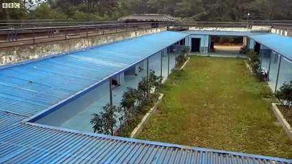 Birth Of Baby Panda - Panda Babies - BBC Earth