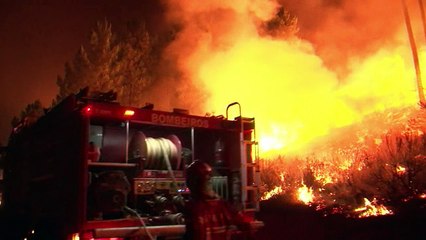 Incendiários presos em Portugal
