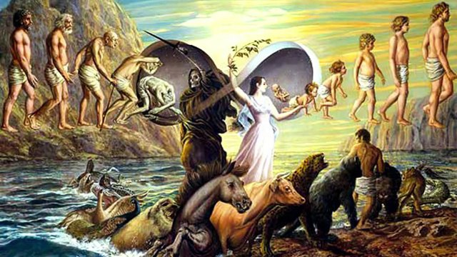 Le Spiritisme d'Allan Kardec - la doctrine, la pratique-fXg6UtmrUEc