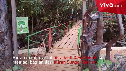 3 Destinasi Wajib Para Traveler di Pulau Bangka