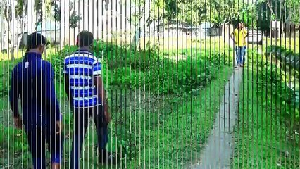Cool Funny Videos| Fun Video Clips| Comedy Funny Video