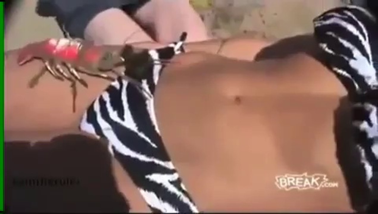 ngu ngon