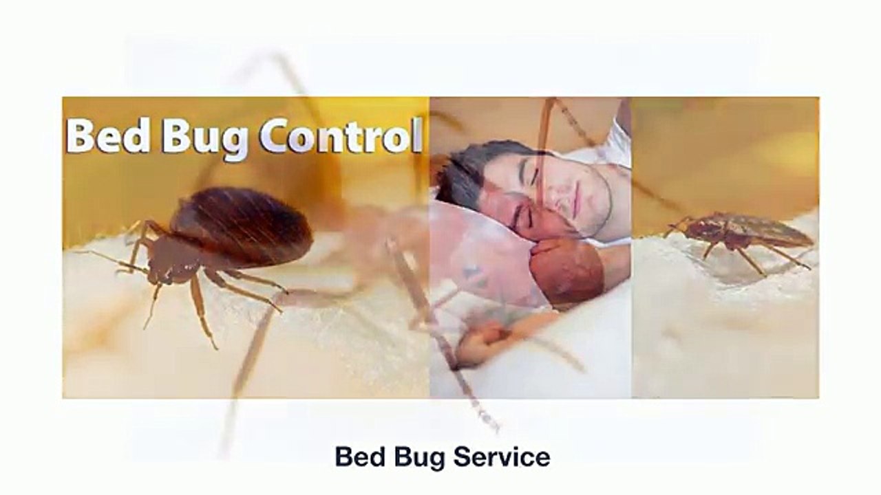 Ultra Tech Pest Control