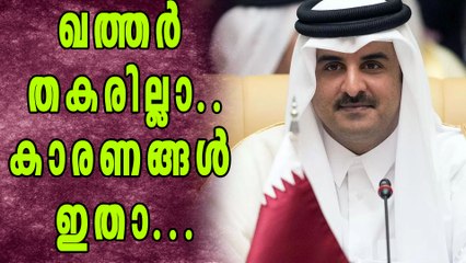 ഖത്തര്‍ തകരില്ല, കാരണങ്ങള്‍ ഇതാ | Qatar Crisis Updation | Oneindia Malayalam