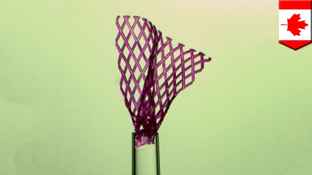 Injectable tissue patch could repair organs without invasive surgery