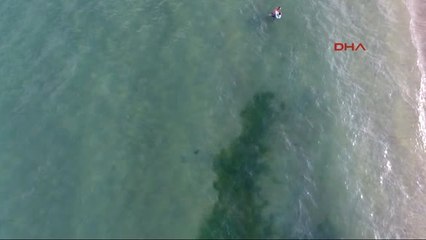 Sinop Denizde Kayboldu Sandılar Teknede Çıktı