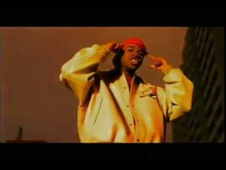 Maestro Fresh Wes - Stick To Your Vision (Official Music Video)