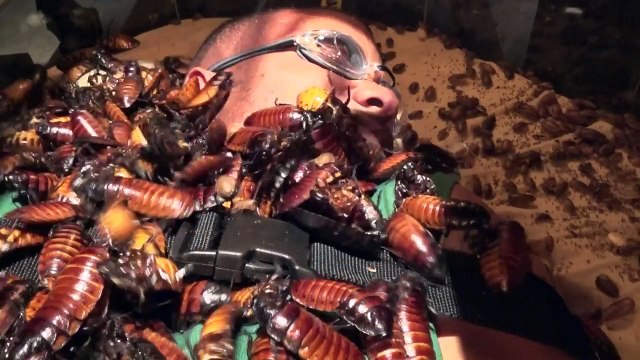 ‘Mind Over Matter’ Mental Prep _ Fear Factor Hosted by Ludacris _ MTV-cM3oBxDvrQI