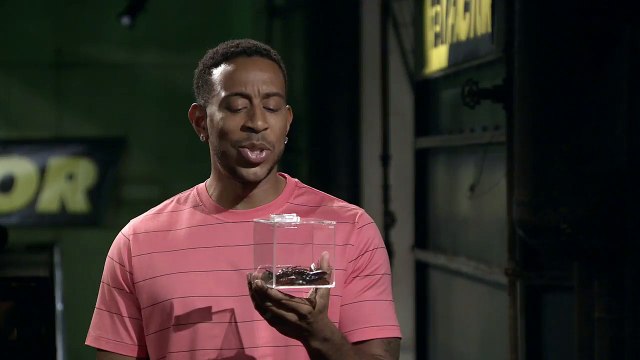 ‘Roaches & Crabs Challenge’ Official Sneak Peek _ Fear Factor Hosted by Ludacris _ MTV-v6_kRAAyvEs