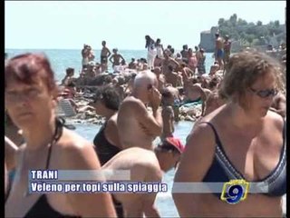 TRANI | Veleno per topi sulla spiaggia