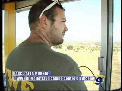 PARCO ALTA MURGIA | Il WWF di Molfetta in campo contro gli incendi