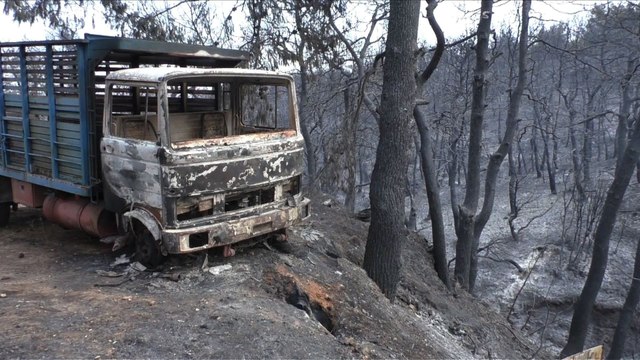Incendies: la situation s'améliore en Grèce