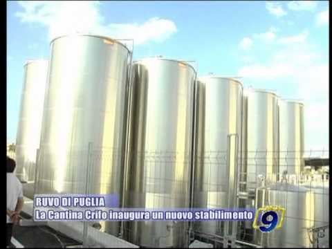RUVO DI PUGLIA | La Cantina Crifo inaugura un nuovo stabilimento
