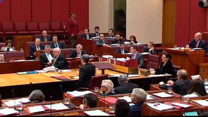 Australie: la présidente du parti d'extrême droite crée la polémique en arrivant habillée en burqa au Sénat - VIDÉO