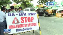 AFP, nagpadala na ng mga sundalong tutulong sa pagbabantay vs bird flu virus