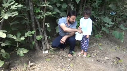 Ek İş Olarak Başladı, Avrupa'ya İhraç Ediyor