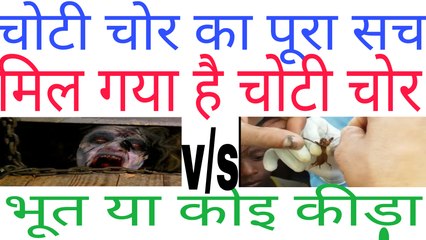 Choti chor - चोटी चोर कोइ भूत नहीं बल्कि एक कीडा है!