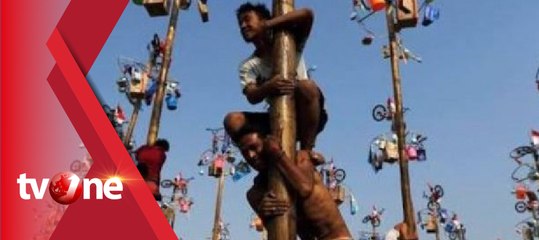 172 Pohon Pinang Disiapkan untuk Lomba HUT RI di Pantai Ancol