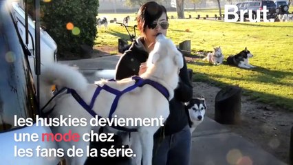 Un acteur de "Game of Thrones" s’alarme de l’abandon de masse de huskies