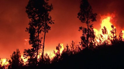 More fires rage in Portugal