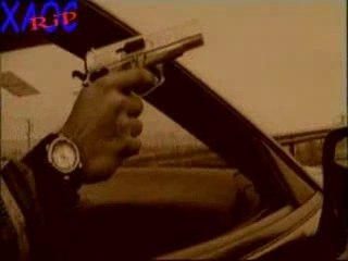 Rado 6i6arkata - Beli ptici i kur6umi