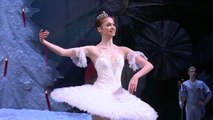 Pyotr Ilyich Tchaikovsky / Anna Nikulina Dance of the Sugar Plum Fairy / 2014