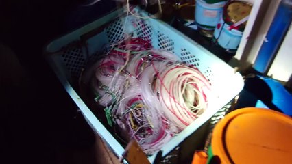 Huge hoard of frozen sharks found inside Chinese vessel