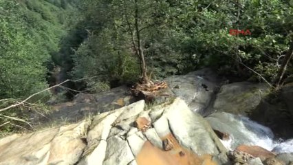 Rize Çayeli'nde Selde Kaybolan Kişi İçin Arama Çalışması Başlatıldı